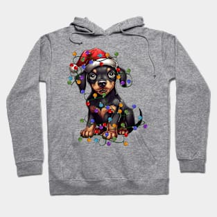 Christmas Puppy Hoodie